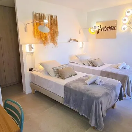 Magnifique Rénovée De 12 Pers Accès Direct Plage Piscine *