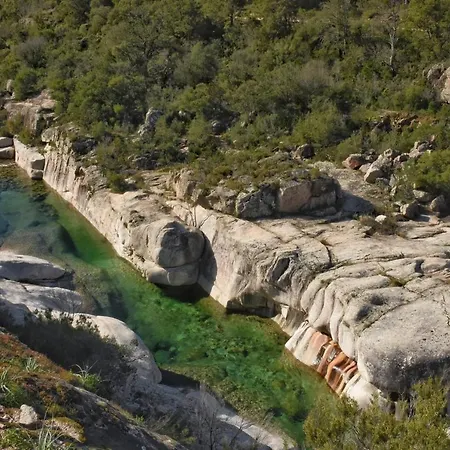 Villa Magnifique Rénovée De 12 Pers Accès Direct Plage Piscine Lecci