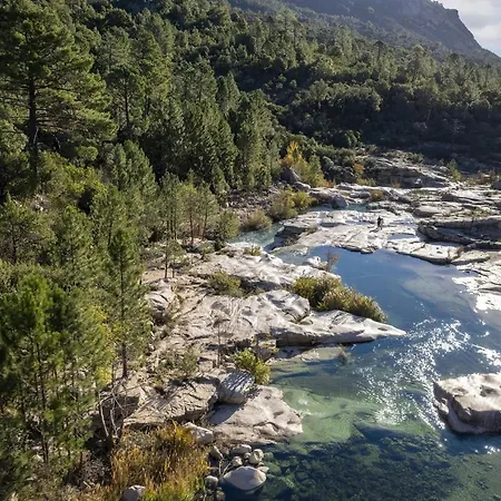 Magnifique Rénovée De 12 Pers Accès Direct Plage Piscine