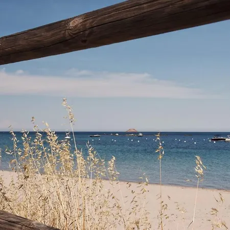 Magnifique Rénovée De 12 Pers Accès Direct Plage Piscine Lecci
